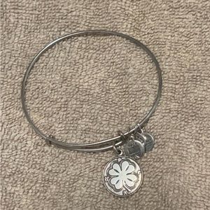 Alex and ani